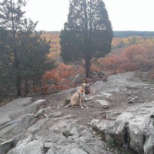 Meet your Posher, Johnna